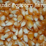 Organic Popcorn Kernels | SensiblySara.com