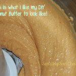 What your DIY Peanut Butter Should Look Like | SensiblySara.com