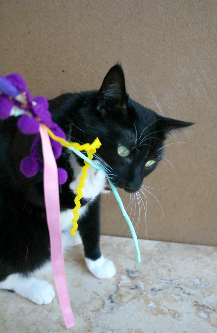 diy cat wand toys