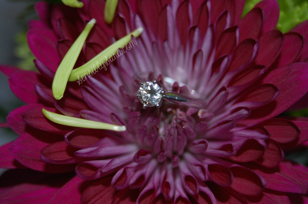 Engagement Ring Photo | SensiblySara.com