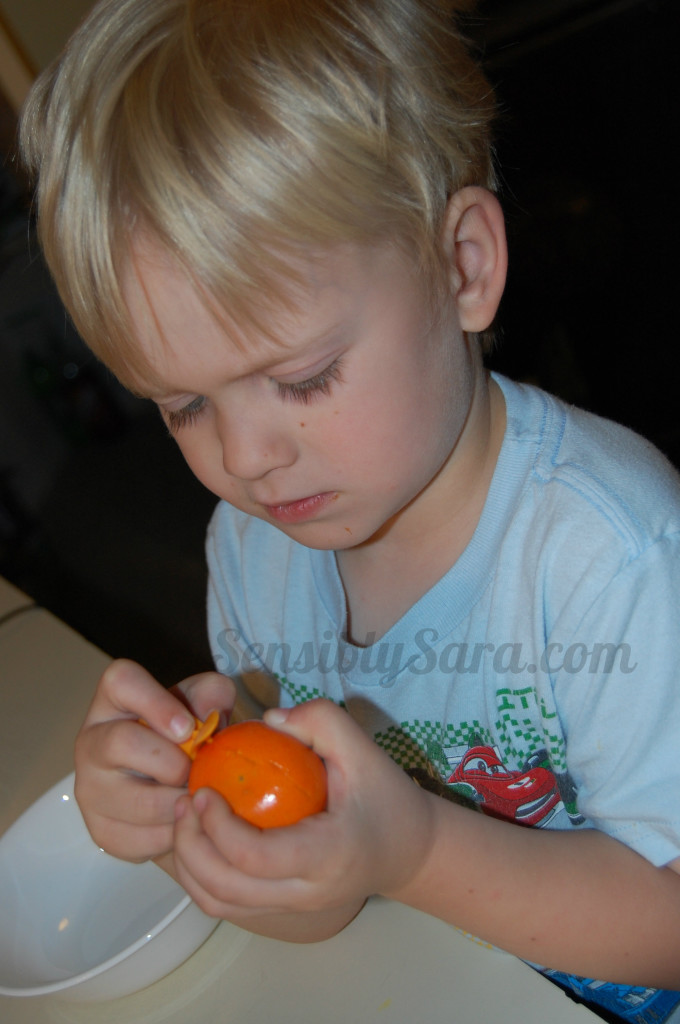 Kids in the Kitchen | SensiblySara.com