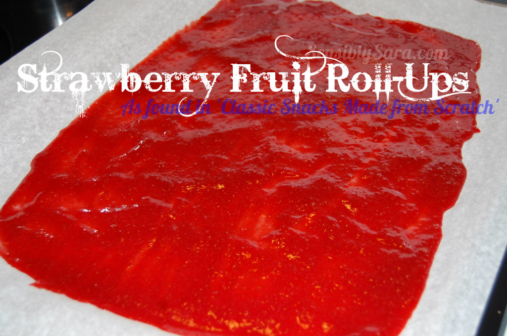 Strawberry Fruit Roll-Ups | SensiblySara.com