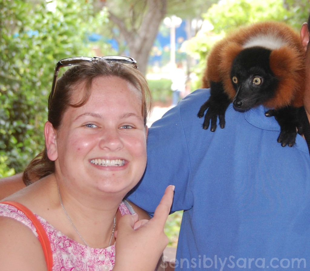 The Lemur & I | SensiblySara.com