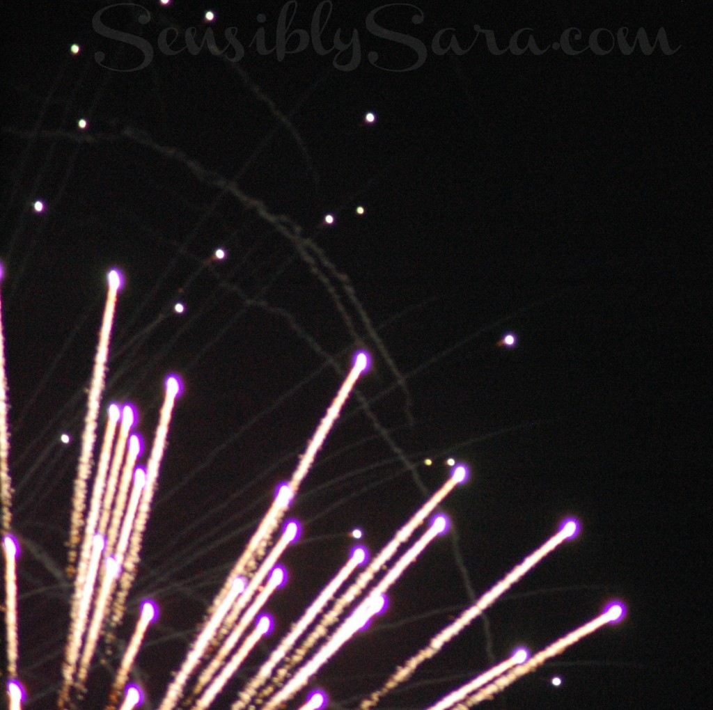Fireworks | SensiblySara.com