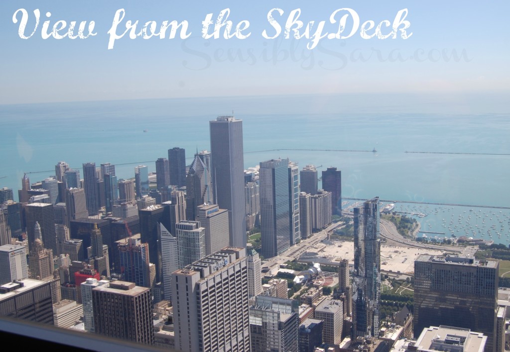 View from the SkyDeck Chicago | SensiblySara.com