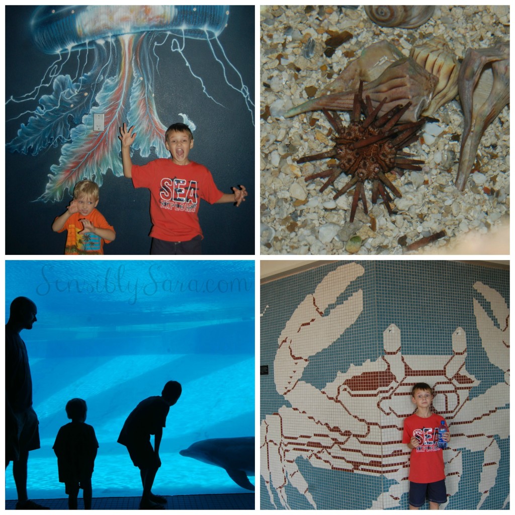 TX State Aquarium | SensiblySara.com