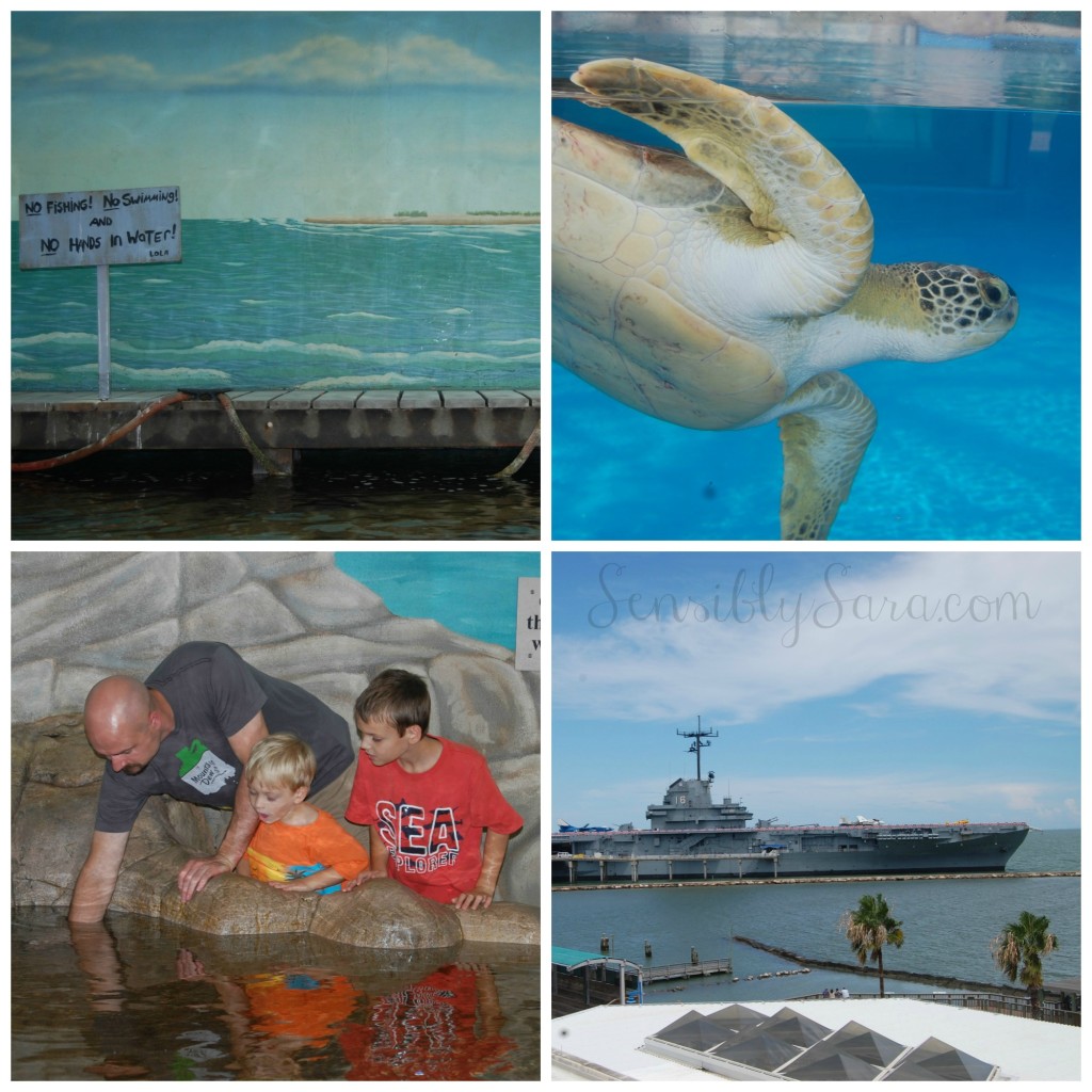 TX State Aquarium | SensiblySara.com