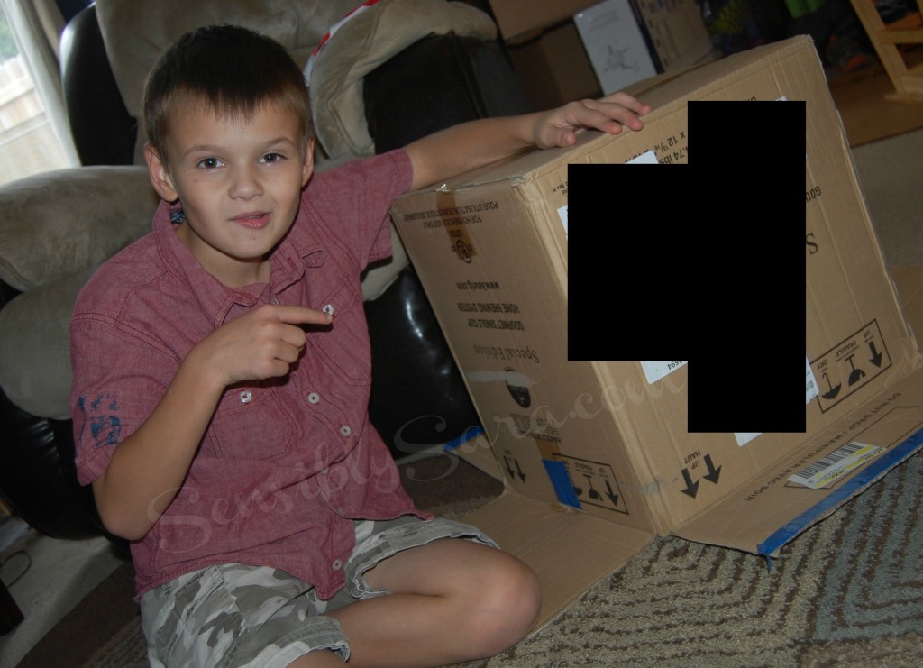 Kids in a Box | SensiblySara.com