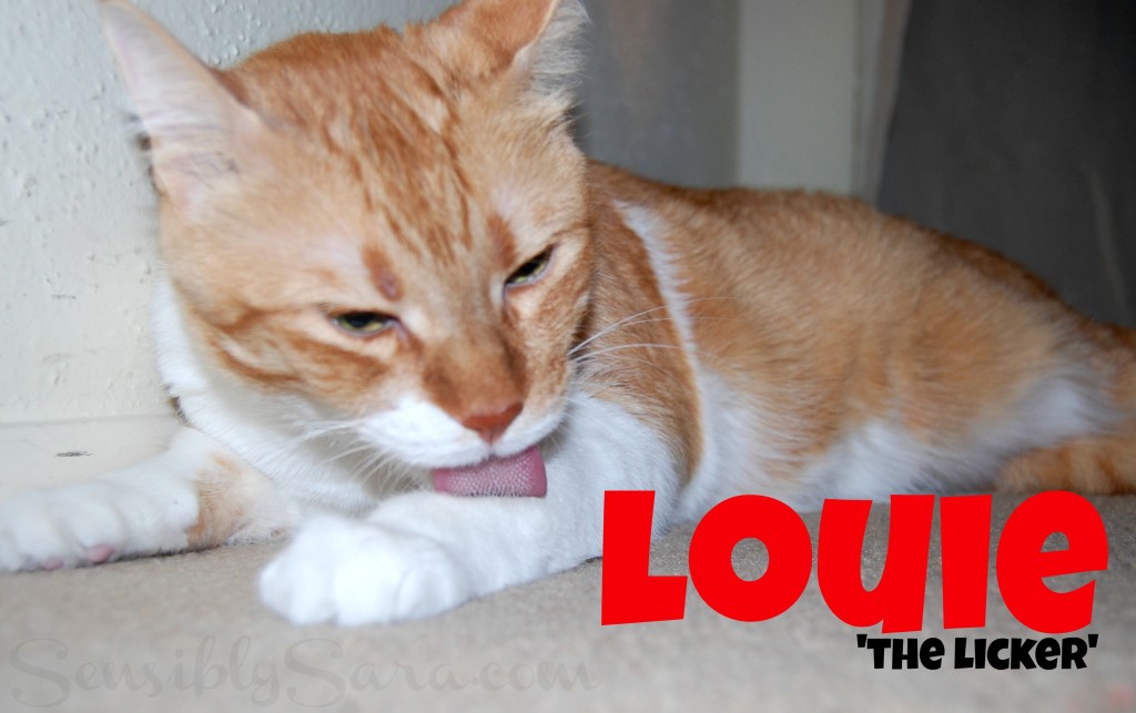 Louie | SensiblySara.com