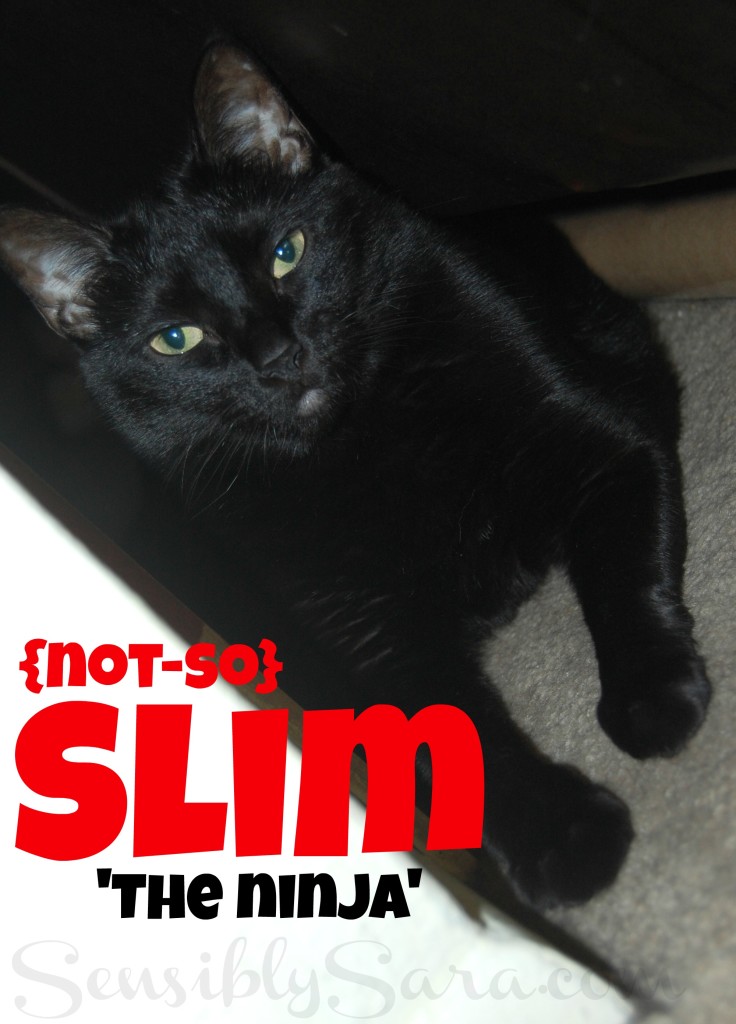 Slim | SensiblySara.com