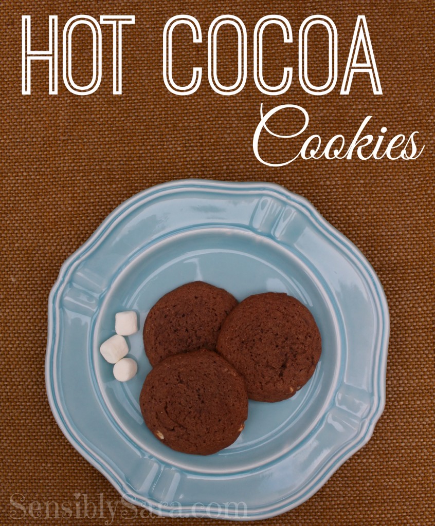 SensiblySara's Hot Cocoa Cookies