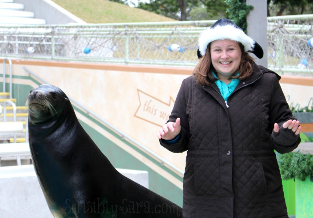 Sea Lion Experience | SensiblySara.com