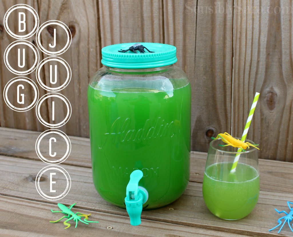 Bug Juice Recipe | SensiblySara.com