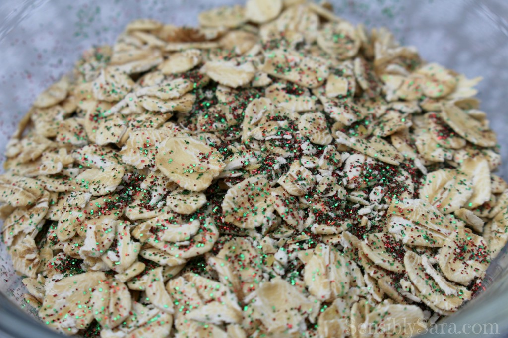 Reindeer Food - Close-Up | SensiblySara.com