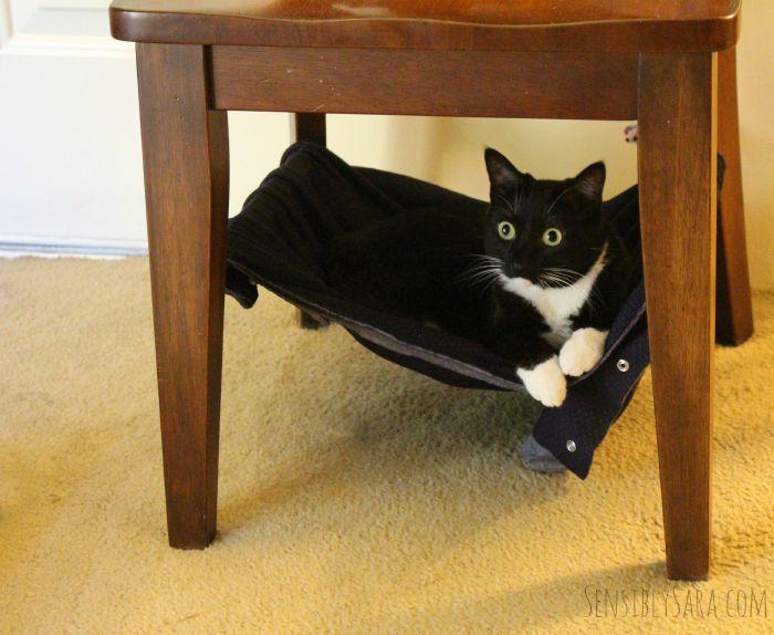 Under chair hotsell cat hammock