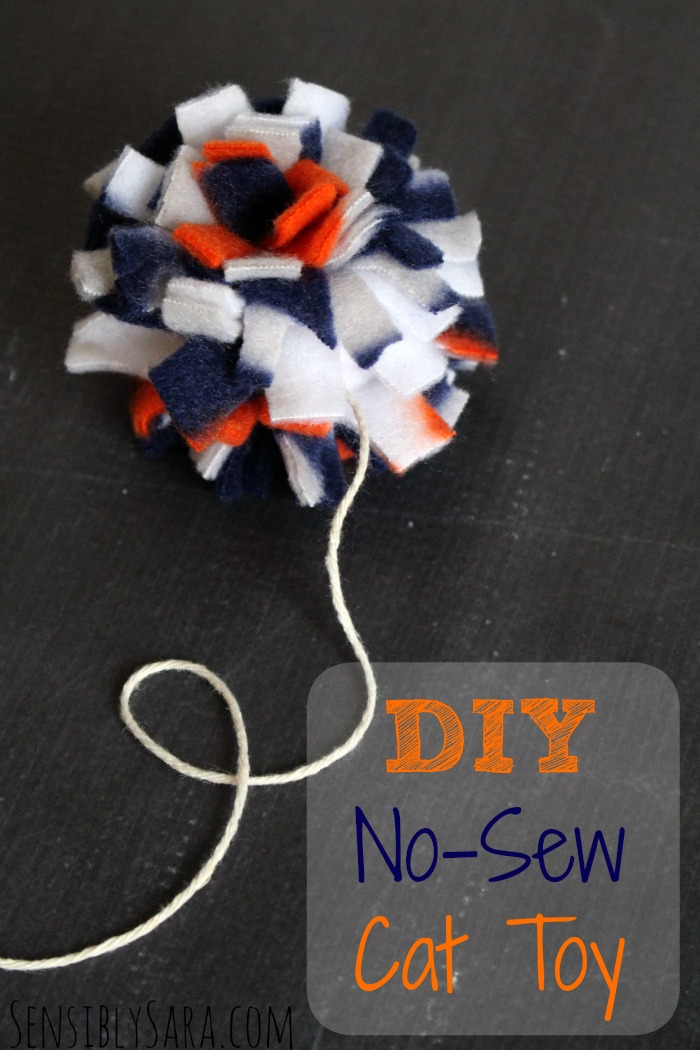 DIY No-Sew Cat Toy Instructions | SensiblySara.com