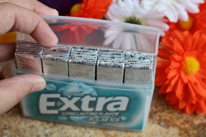 Extra® Gum 35-stick Packages | SensiblySara.com