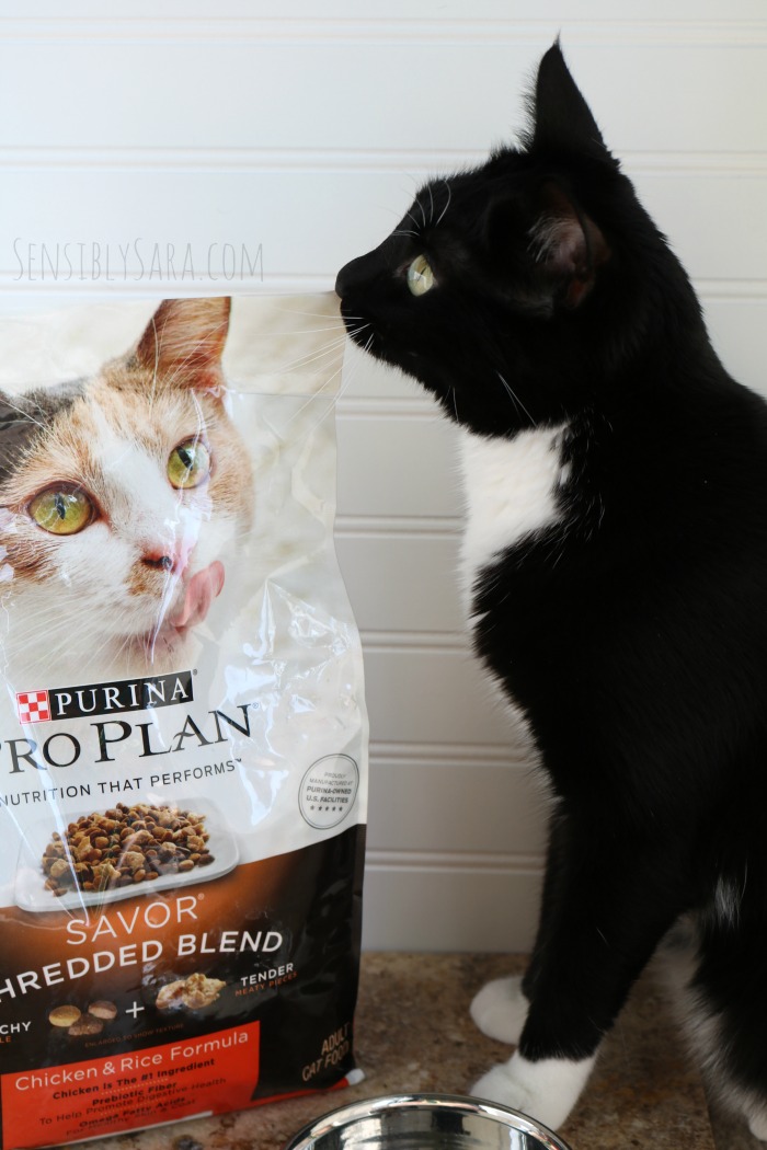 Purina Pro Plan Shredded Blend | SensiblySara.com