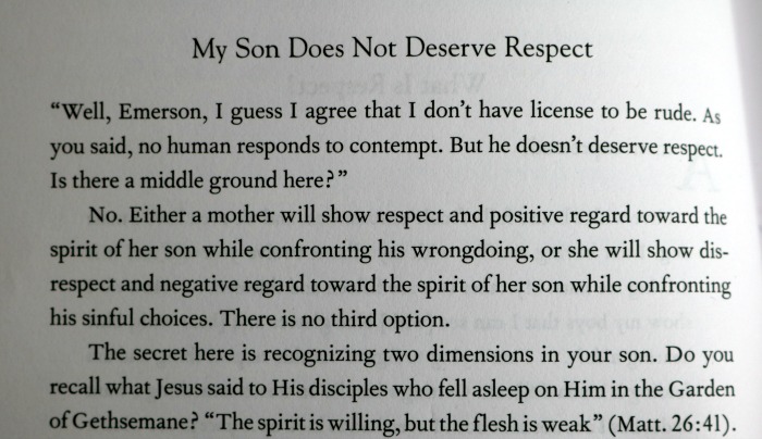 Mother & Son Excerpt | SensiblySara.com