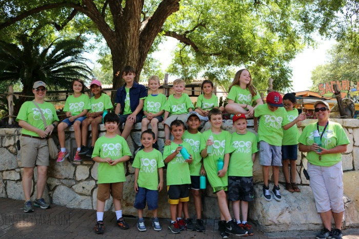 San Antonio Zoo Summer Camps for Kids | SensiblySara.com