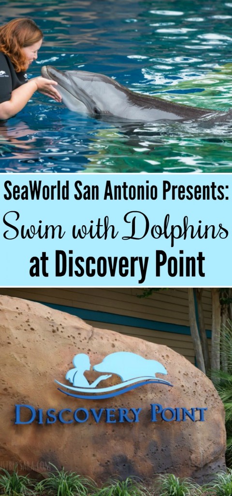 SeaWorld San Antonio Presents Swim with Dolphins at Discovery Point | SensiblySara.com