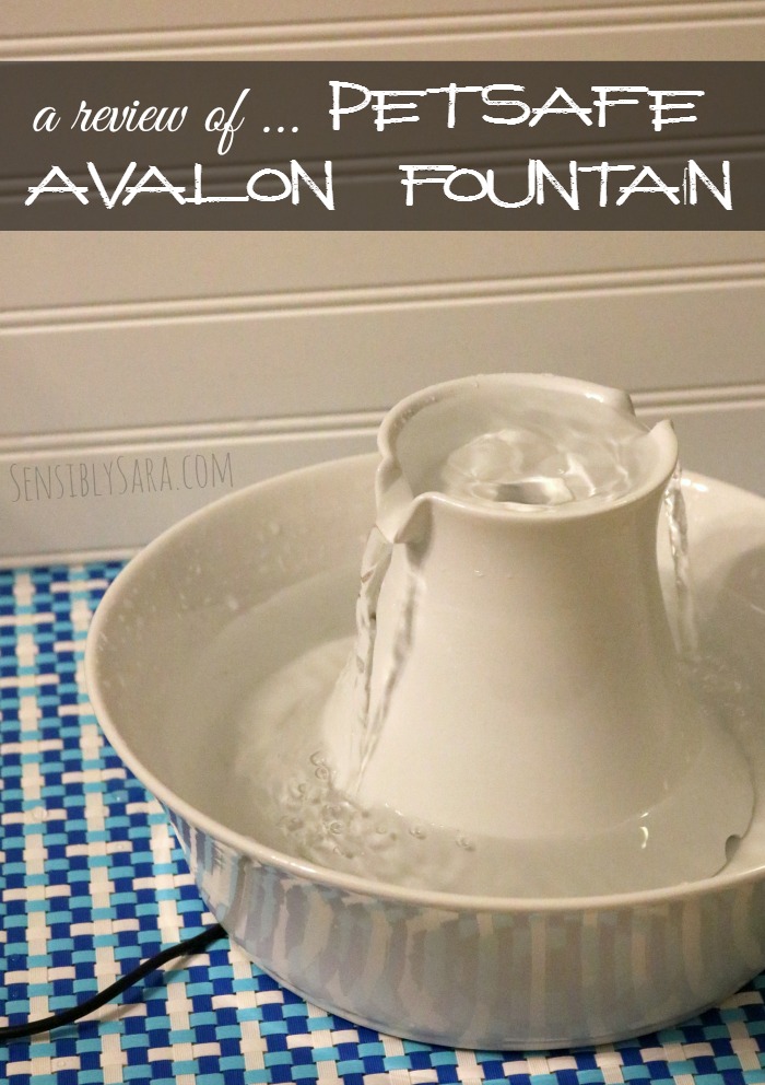 PetSafe Avalon Fountain | SensiblySara.com