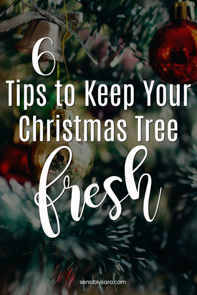 How to Keep Your Christmas Tree Fresh