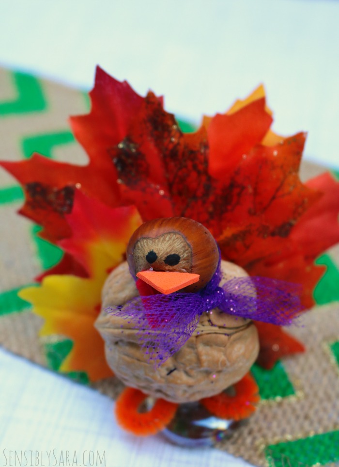 Walnut Turkey Craft