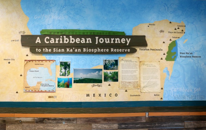 A Caribbean Journey | SensiblySara.com