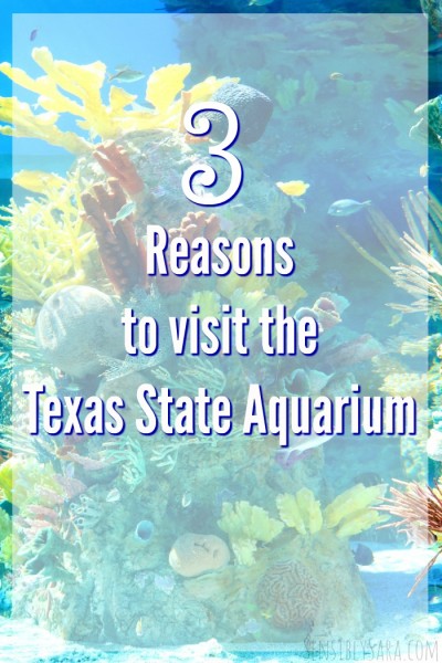 3 Reasons to Visit the Texas State Aquarium | SensiblySara.com