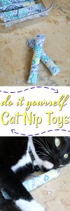 How to Make Irresistible DIY Cat Toys [AD] #CatsLoveNutrish