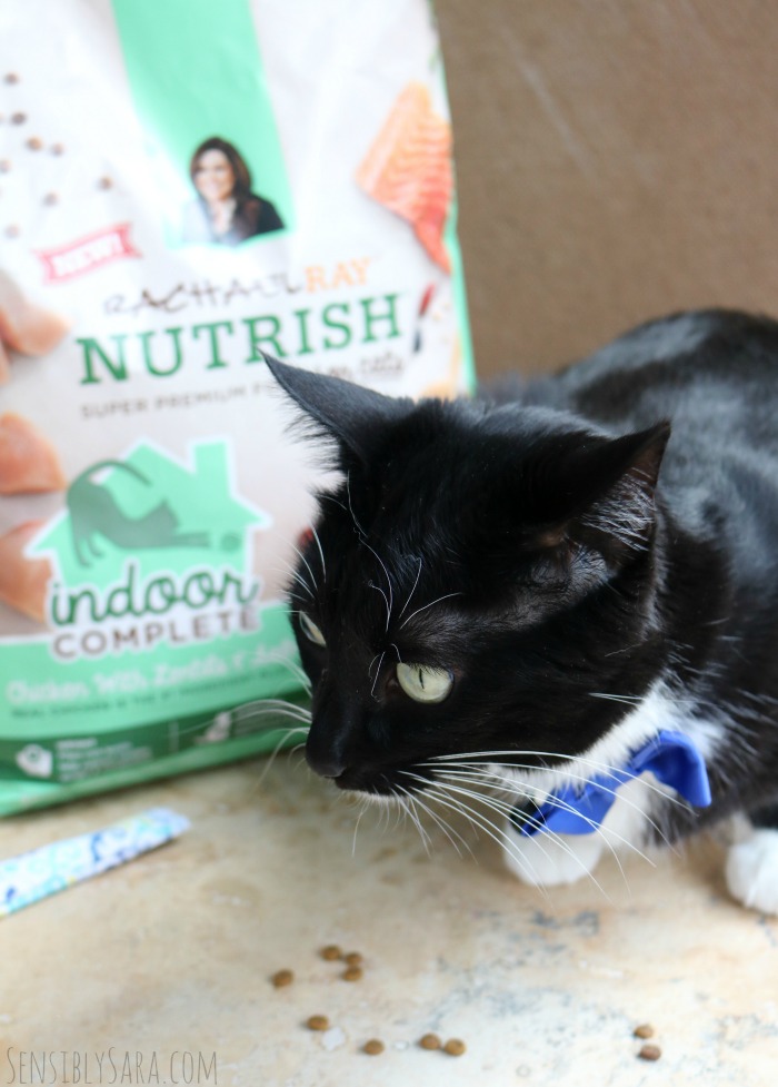 Rachael Ray Nutrish Cat Food | SensiblySara.com