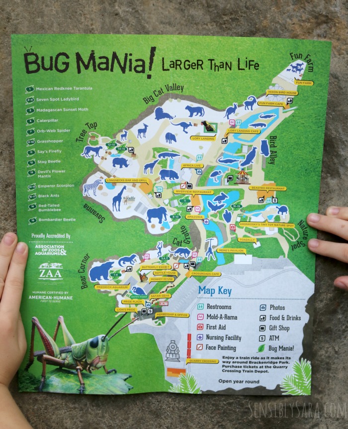 Bug Mania Map San Antonio Zoo | SensiblySara.com