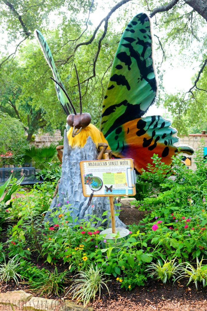 Bug Mania at the San Antonio Zoo | SensiblySara.com