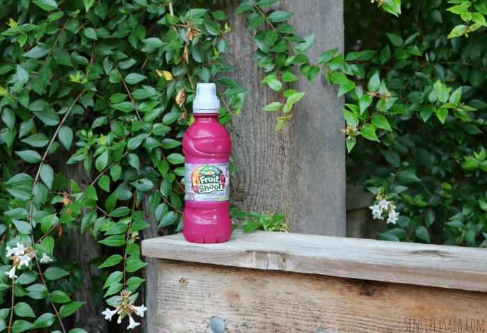 Fruit Shoot Fruit Punch | SensiblySara.com