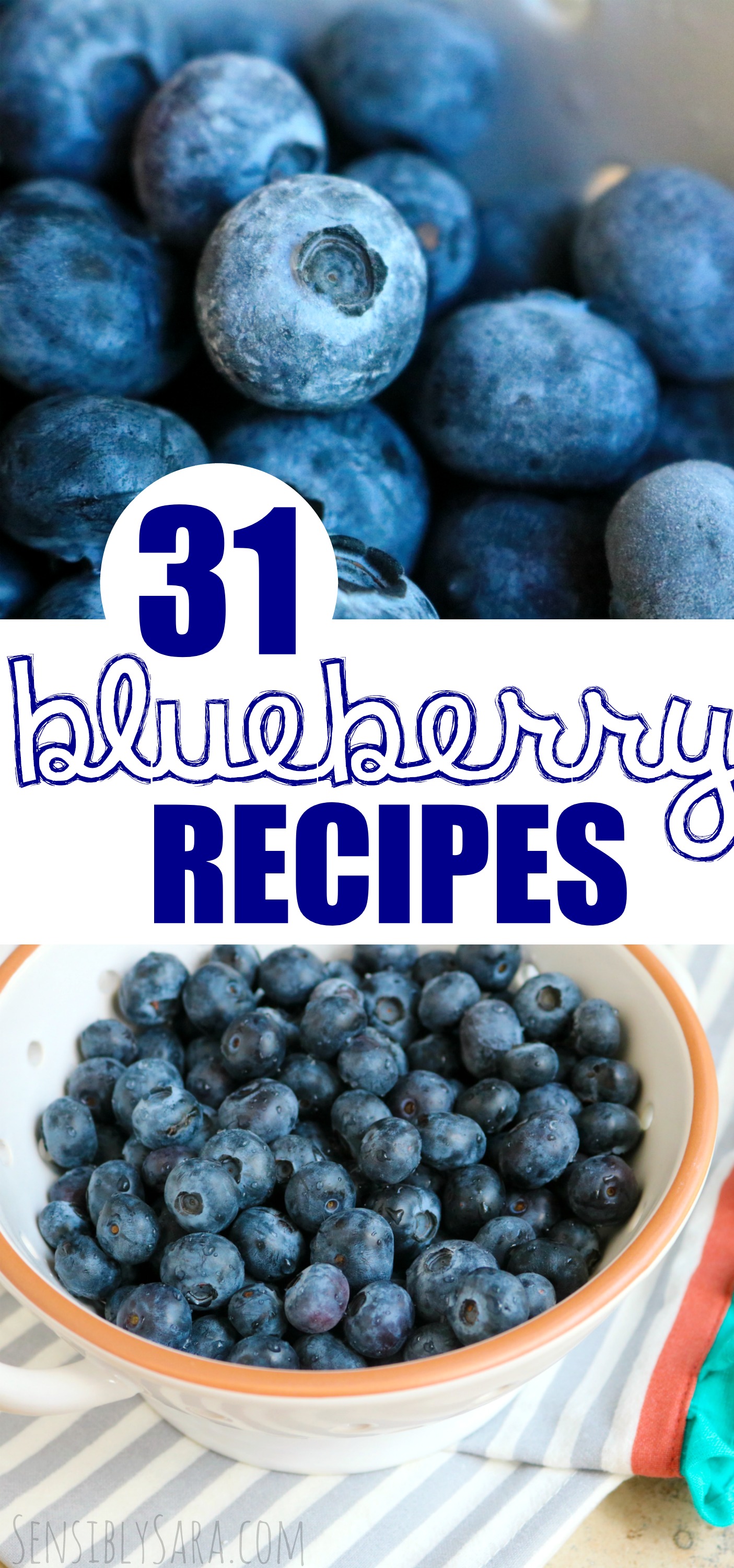 Blueberry Recipe Round Up | SensiblySara.com