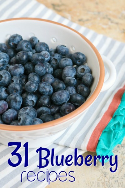 Blueberry Recipes for National Blueberry Month | SensiblySara.com