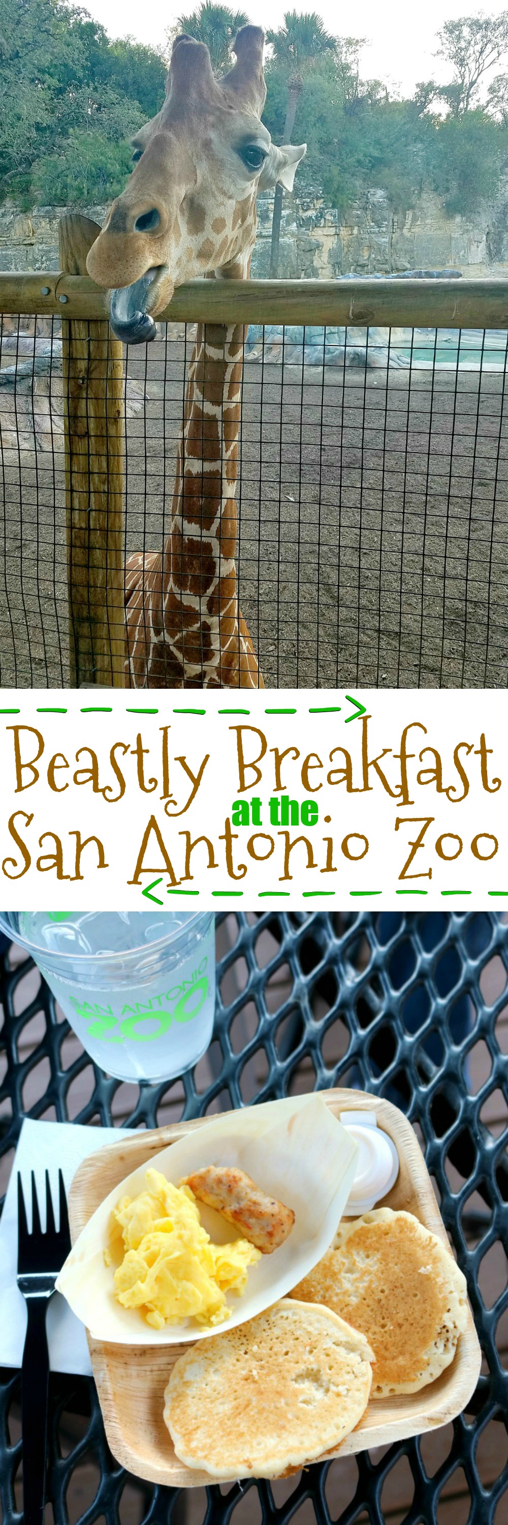 Beastly Breakfast at the San Antonio Zoo | SensiblySara.com