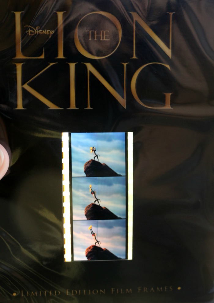 The Lion King Film Frames | SensiblySara.com