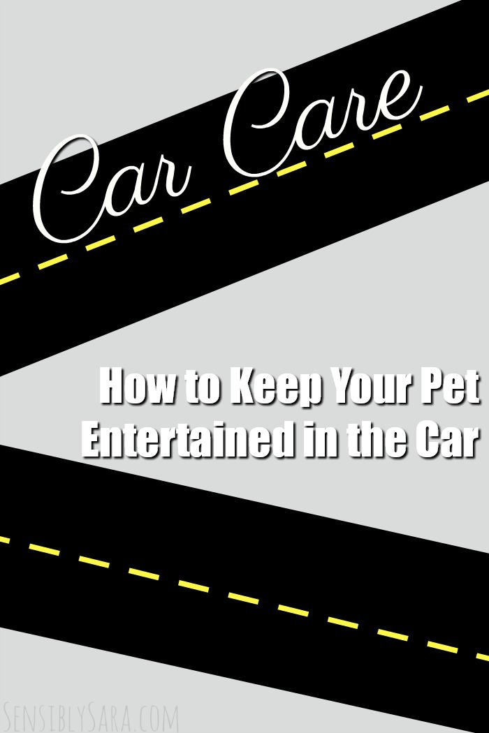 How to Keep Your Pet Entertained in the Car | SensiblySara.com