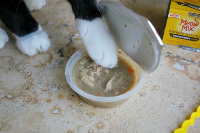 Cat Eating with Paw | SensiblySara.com