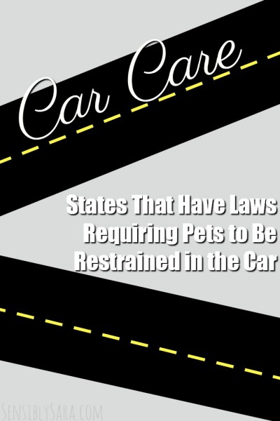 States That Have Laws Requiring Pets to Be Restrained in the Car | SensiblySara.com