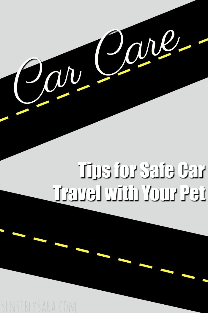 Tips for Safe Car Travel with Your Pet | SensiblySara.com