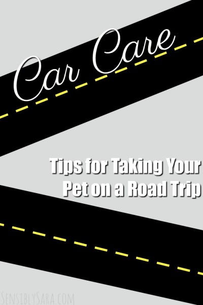 Tips for Taking Your Pet on a Road Trip | SensiblySara.com