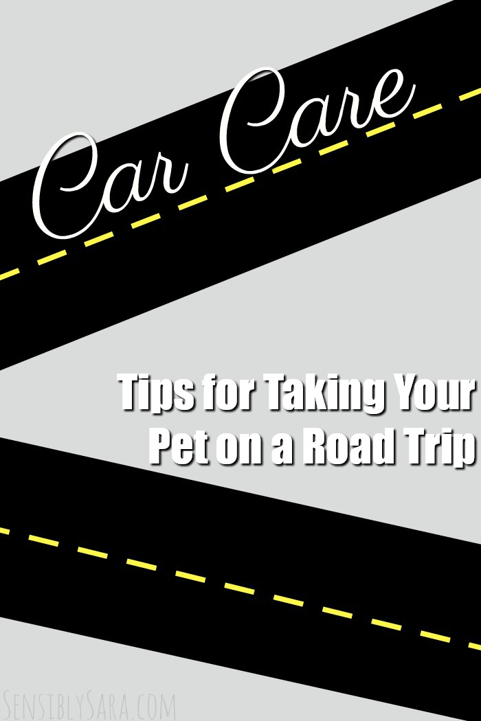 Tips for Taking Your Pet on a Road Trip | SensiblySara.com