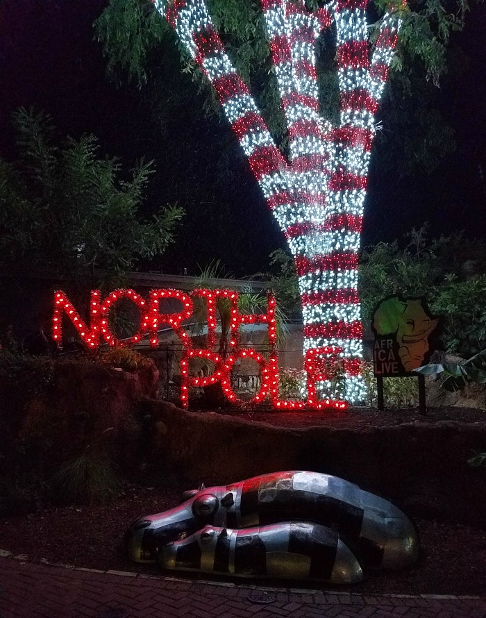 San Antonio Zoo Lights | SensiblySara.com