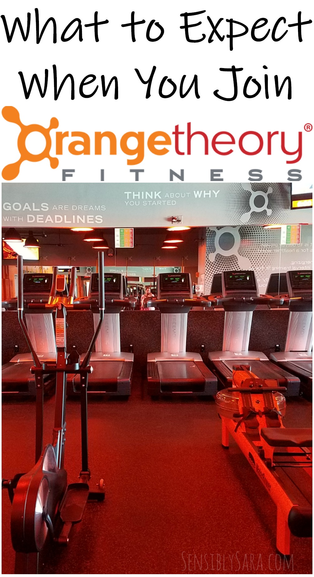What to Expect When You Join OrangeTheory Fitness