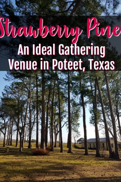 Strawberry Pines in Poteet, Texas | SensiblySara.com