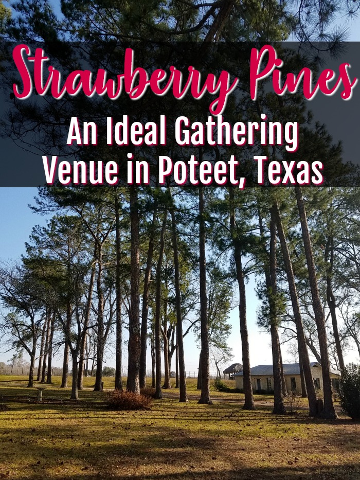 Strawberry Pines in Poteet, Texas | SensiblySara.com
