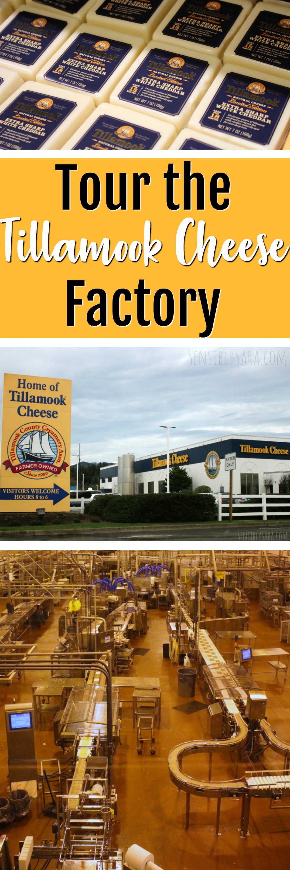 Tour the Tillamook Cheese Factory in Tillamook, Oregon | SensiblySara.com